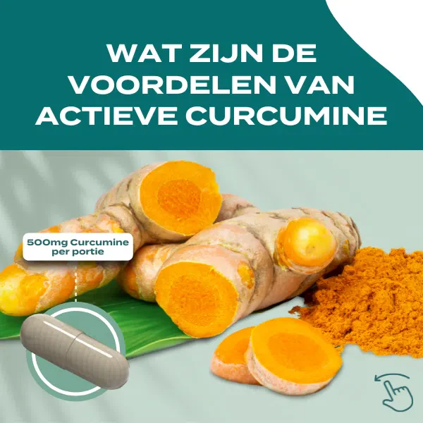 Productafbeelding 3