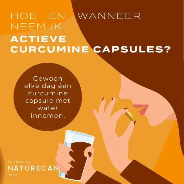 Productafbeelding 8