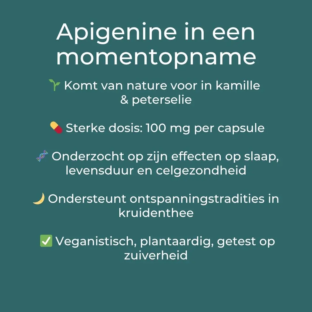 Productafbeelding 4