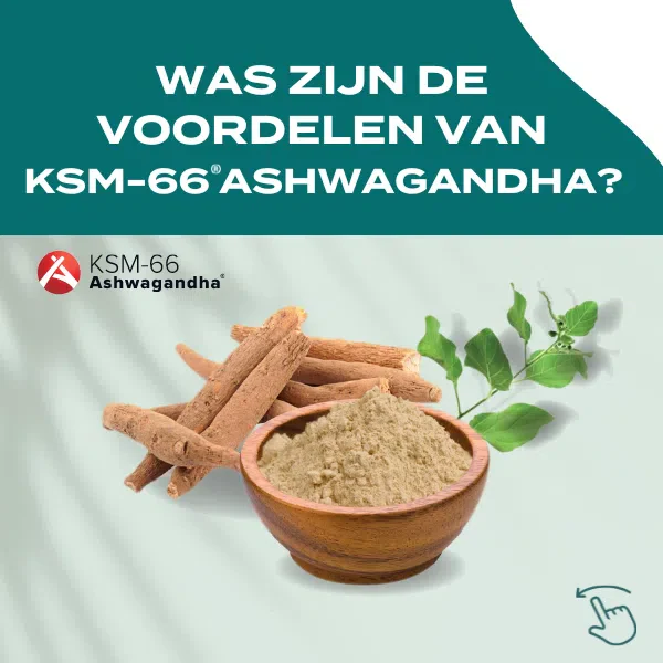 Productafbeelding 4
