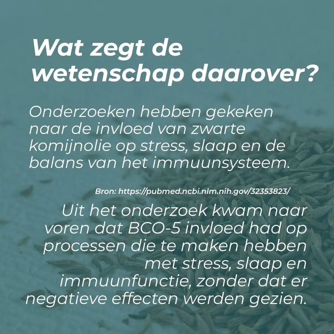 Productafbeelding 4