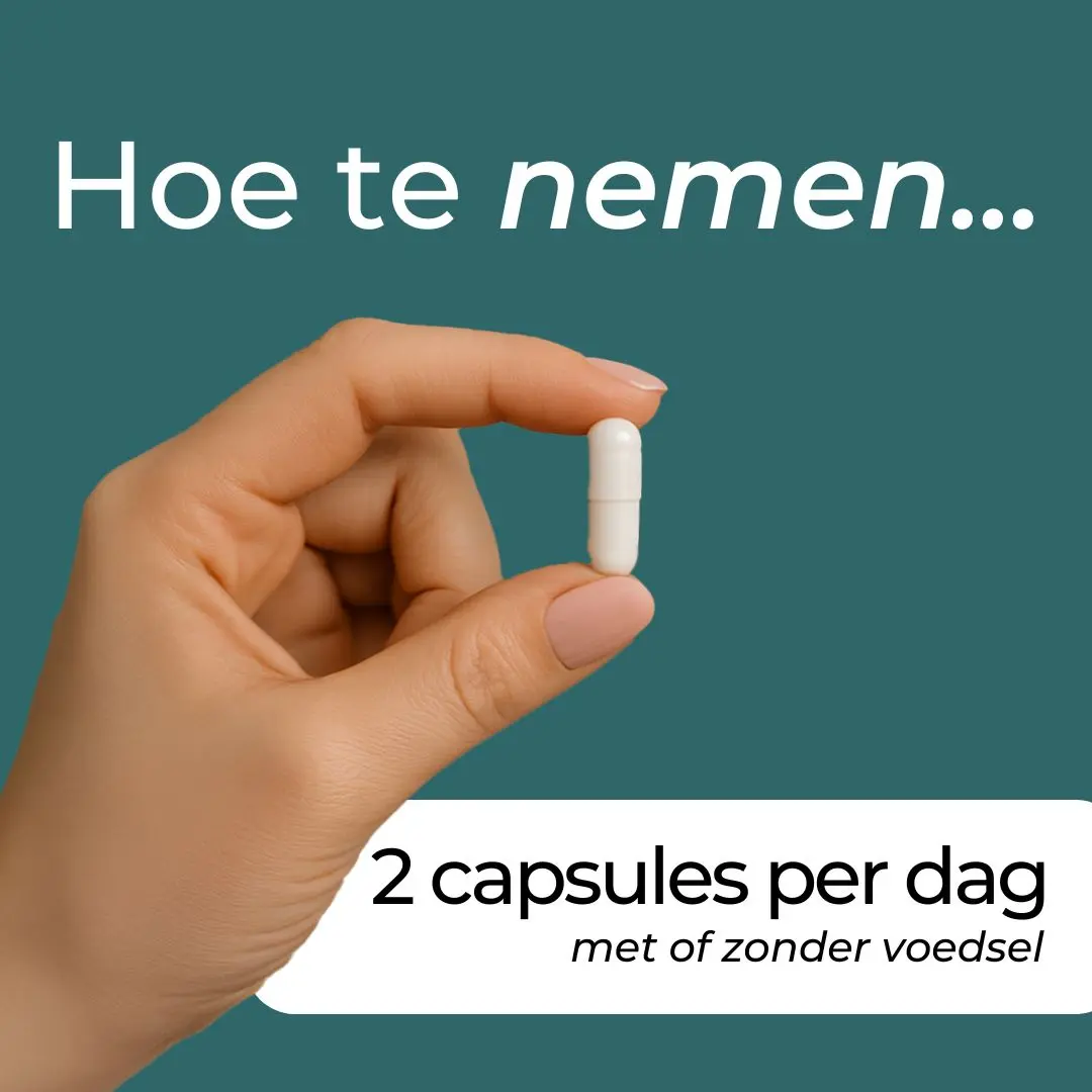 Productafbeelding 10