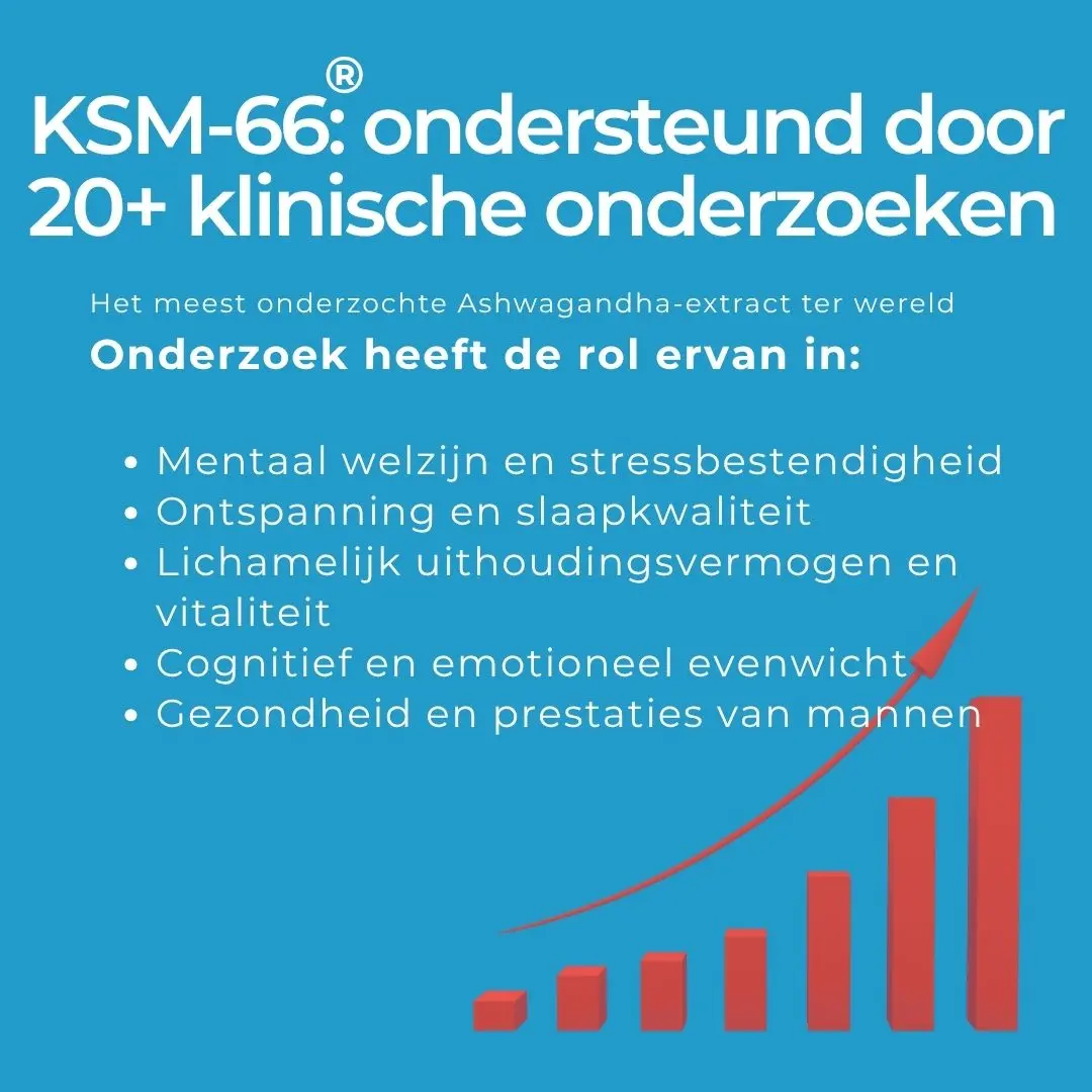 Productafbeelding 5