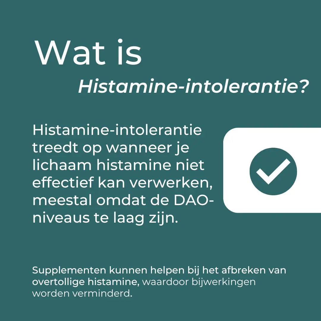 Productafbeelding 3