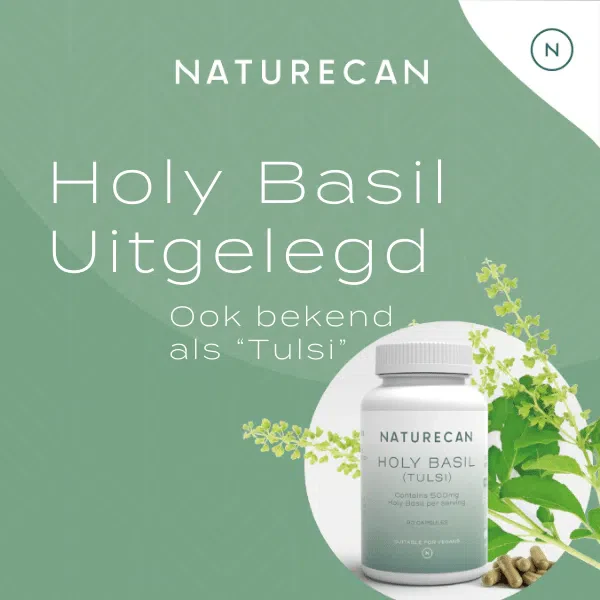 Productafbeelding 2