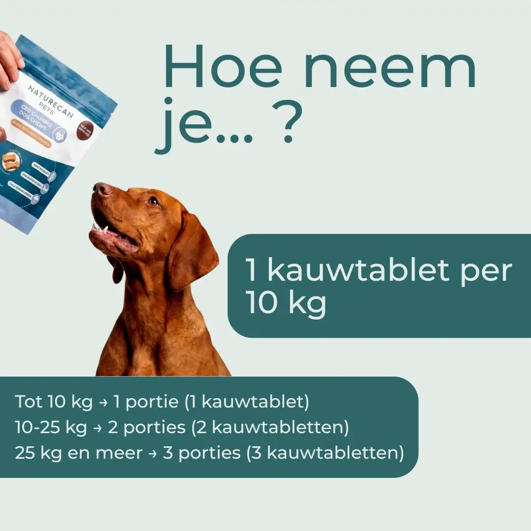 Productafbeelding 10