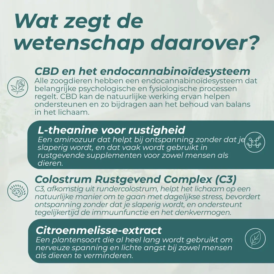 Productafbeelding 9