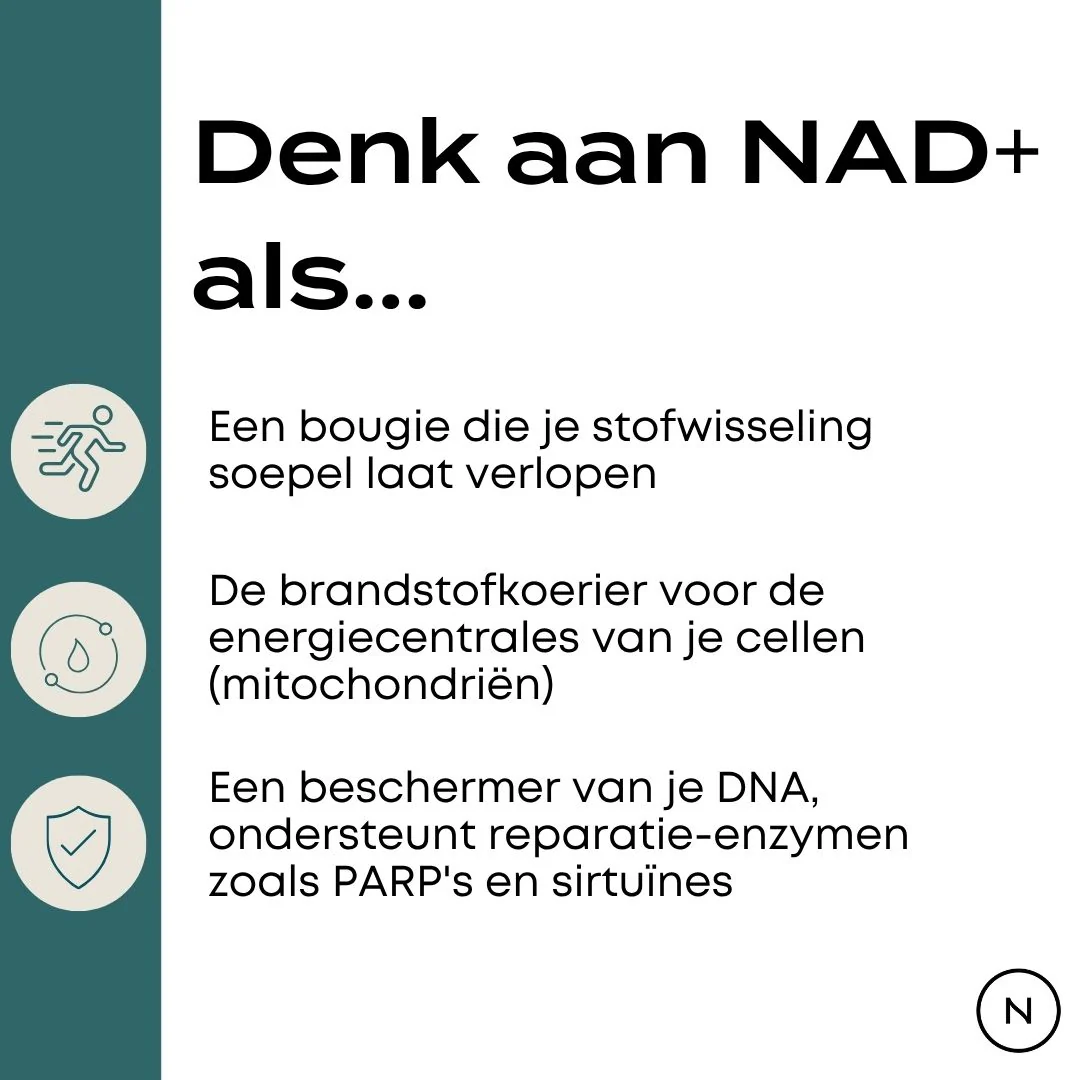 Productafbeelding 7