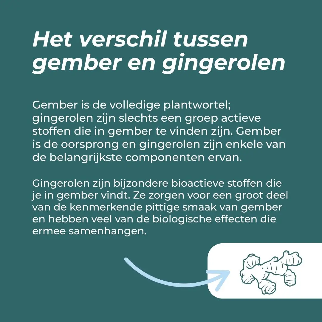 Productafbeelding 3
