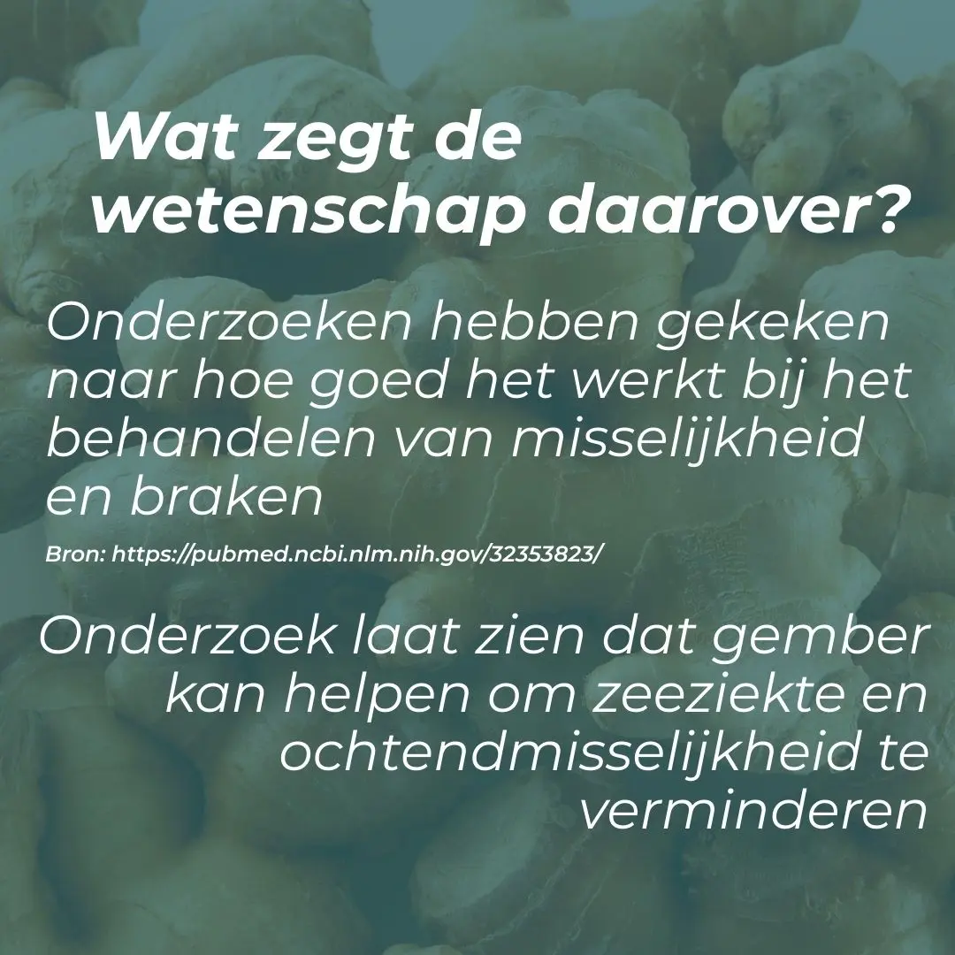 Productafbeelding 4
