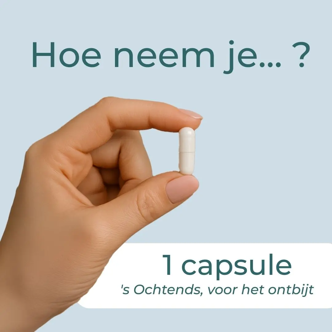 Productafbeelding 6