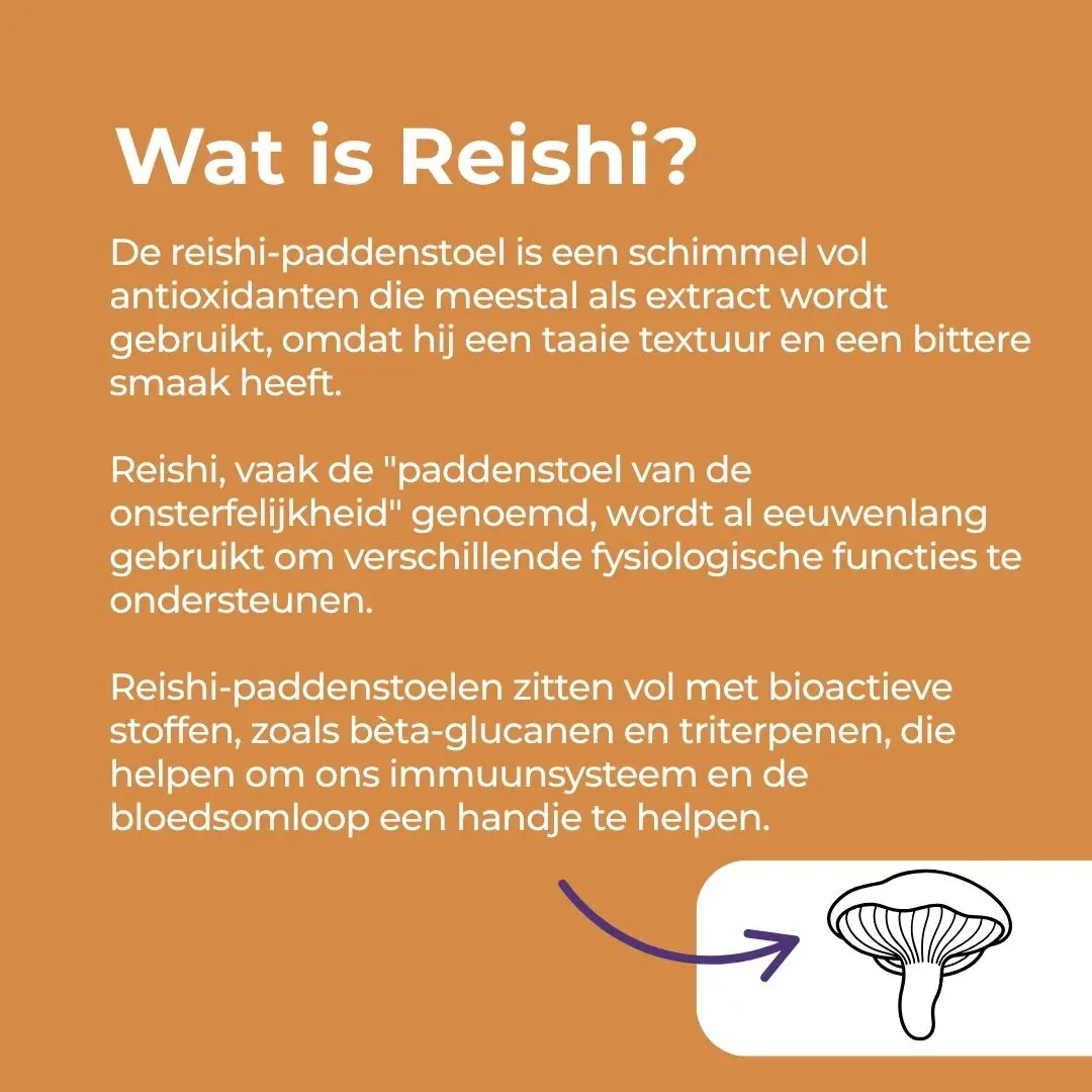 Productafbeelding 4