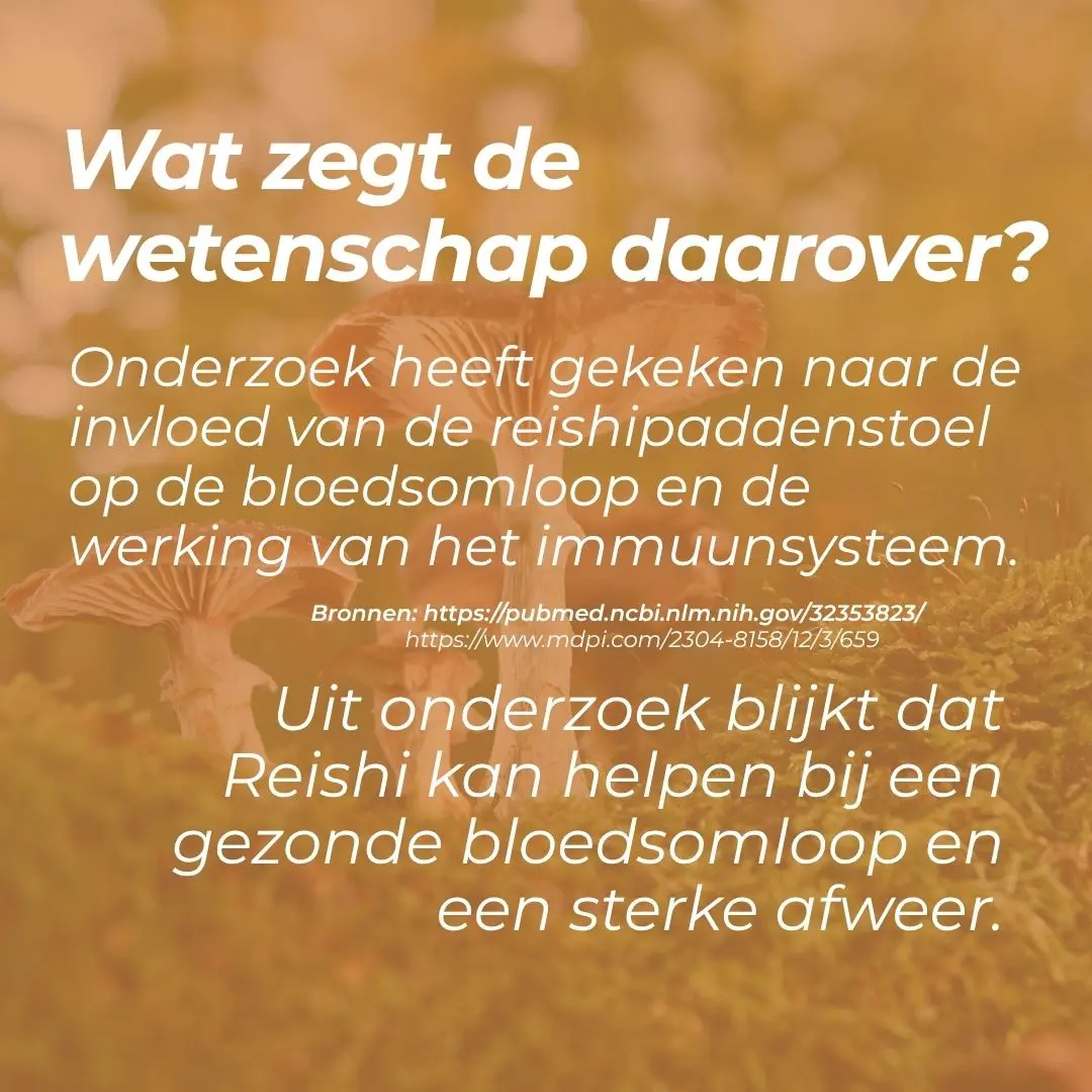 Productafbeelding 5