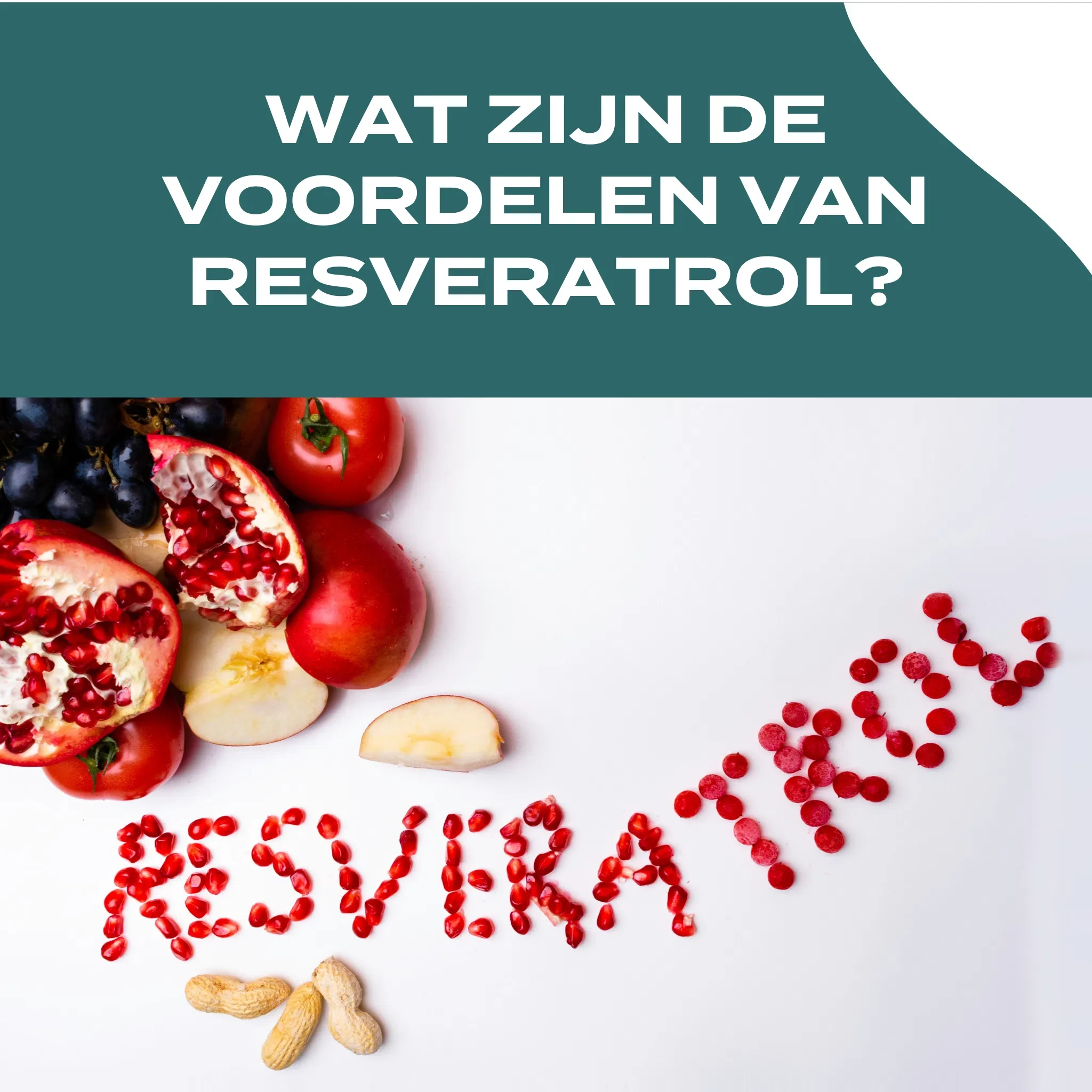 Productafbeelding 4