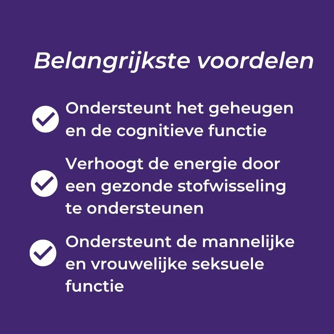 Productafbeelding 4