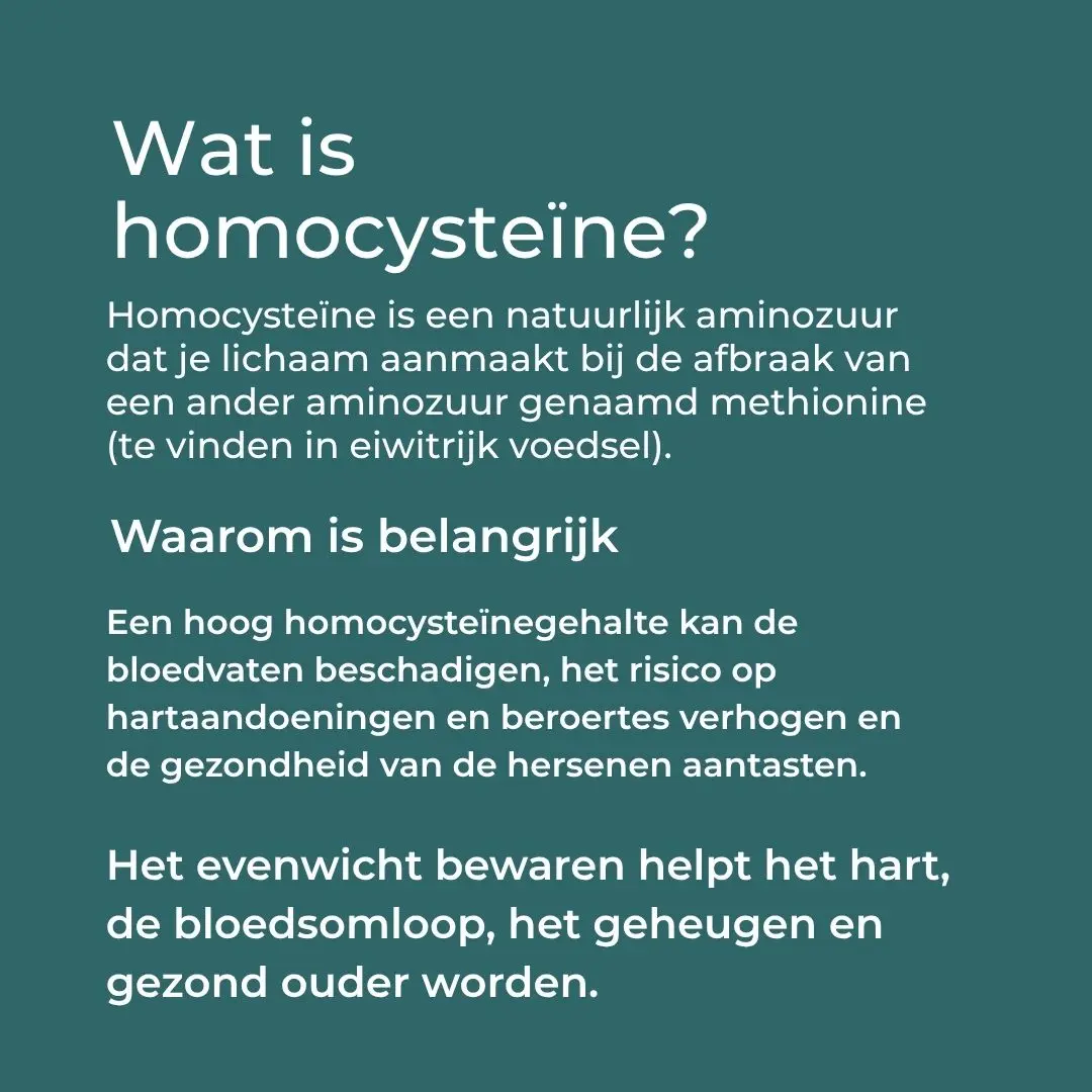 Productafbeelding 5