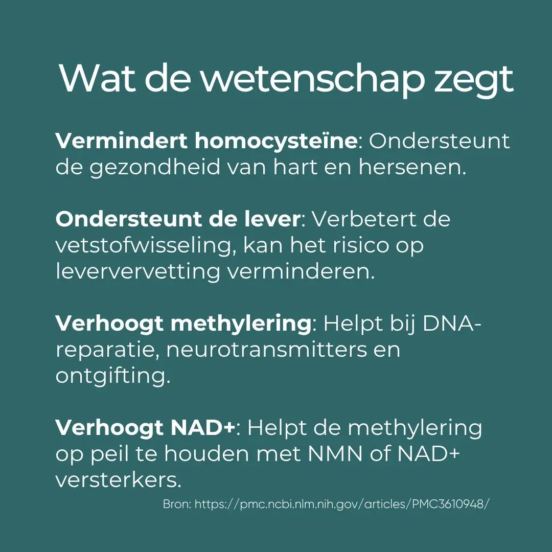Productafbeelding 6