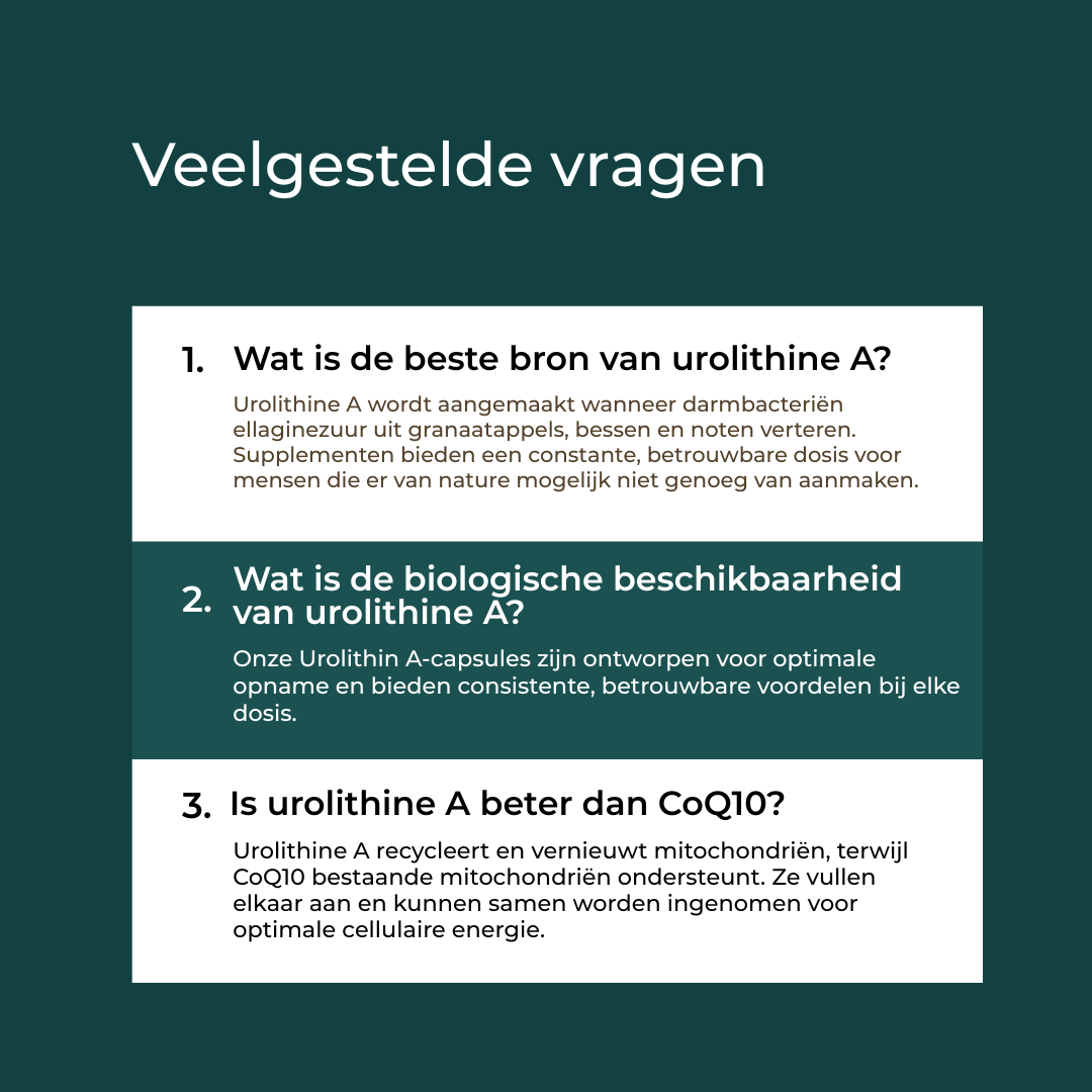 Productafbeelding 11