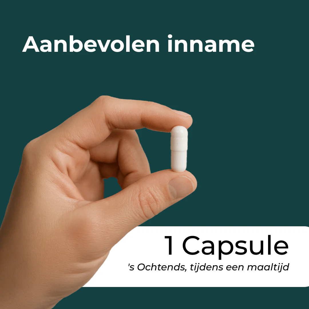 Productafbeelding 9